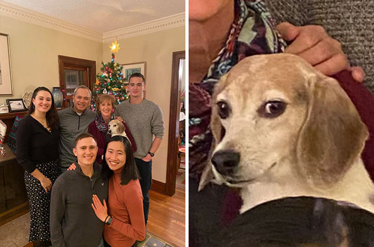 family portrait dogs