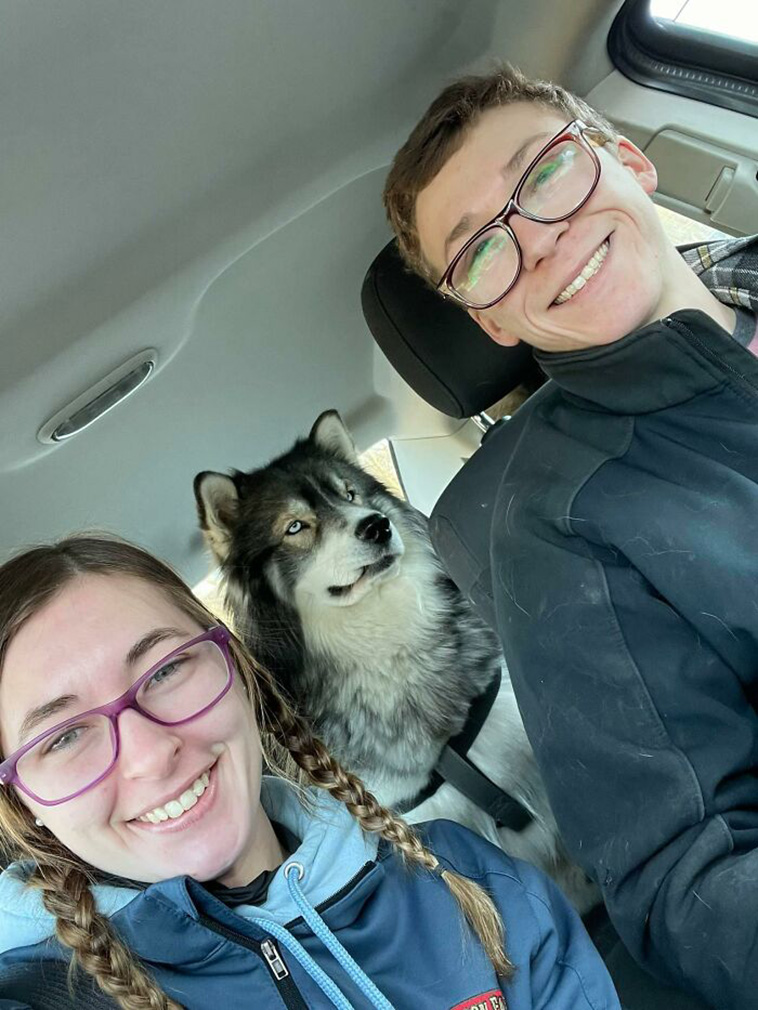 family portrait dogs