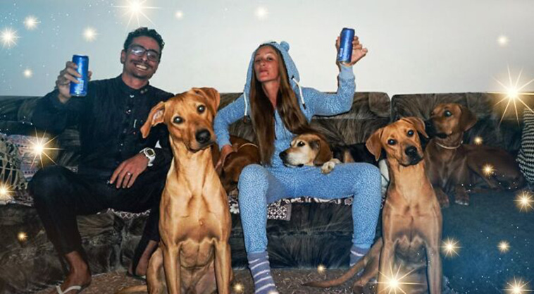 family portrait dogs