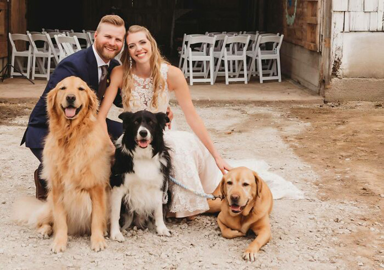 family portrait dogs