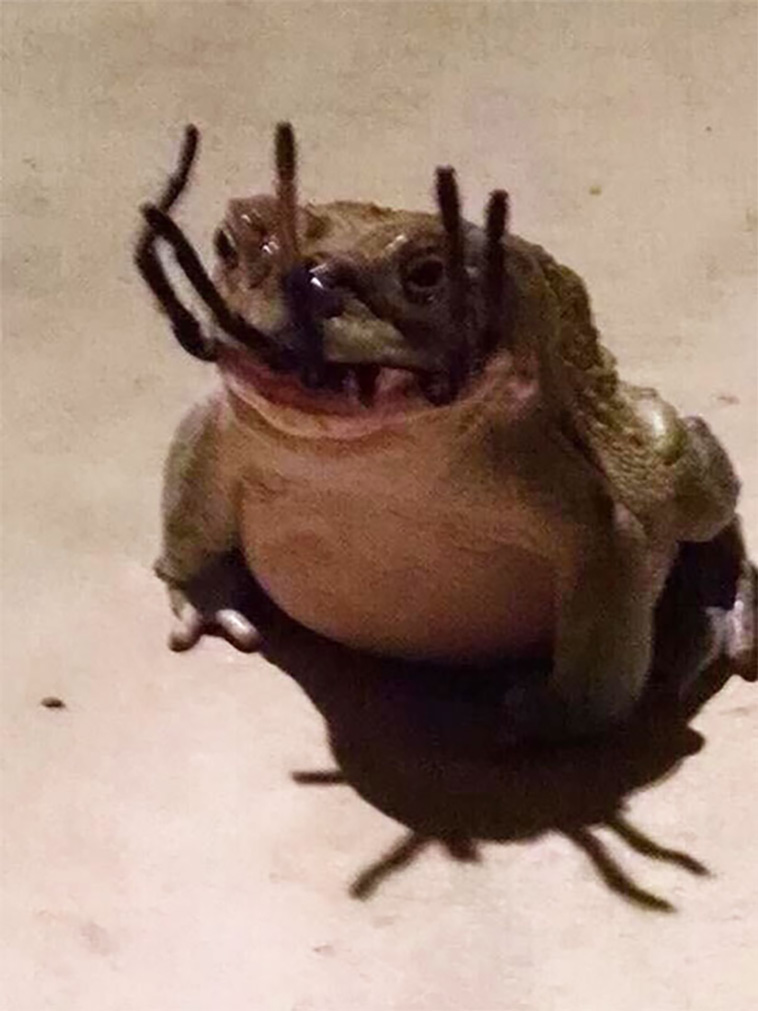 frightening nature