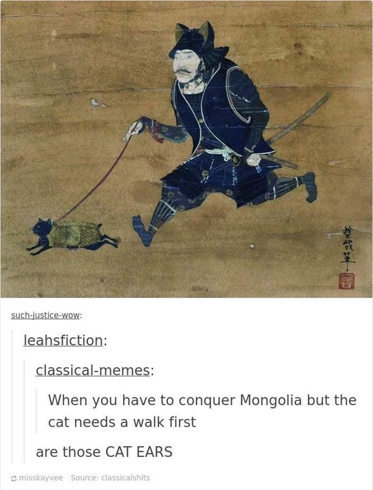 funny cat memes