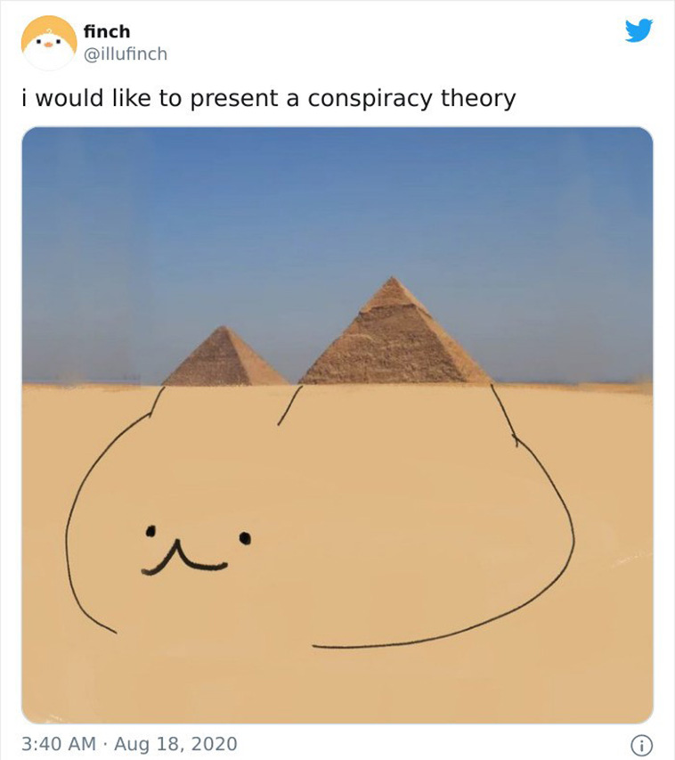 funny cat memes