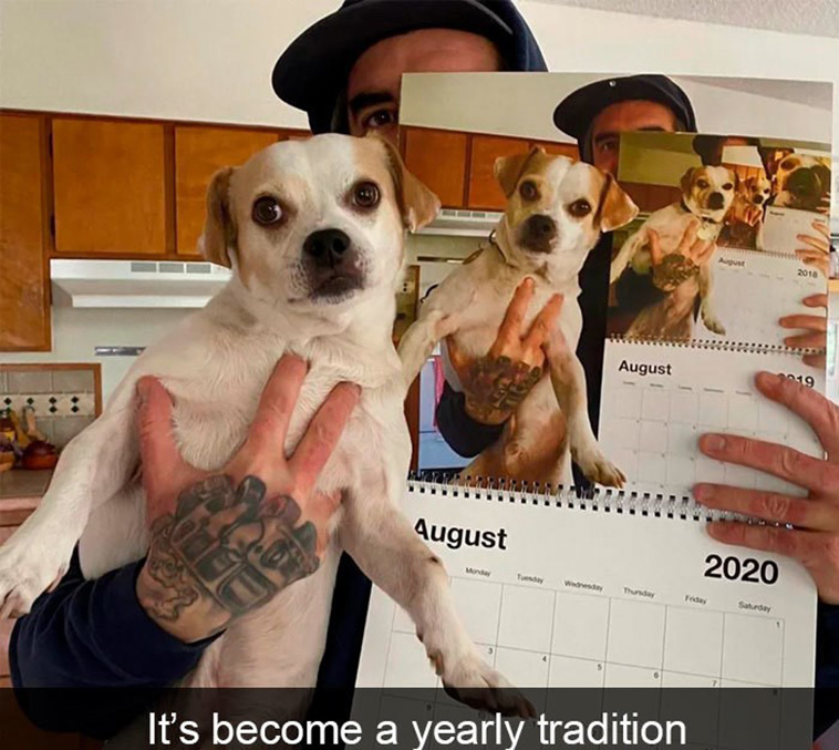 funny dogs snapchats