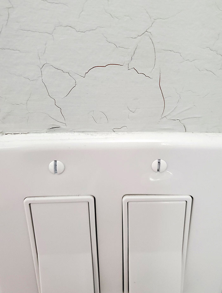 funny pareidolia