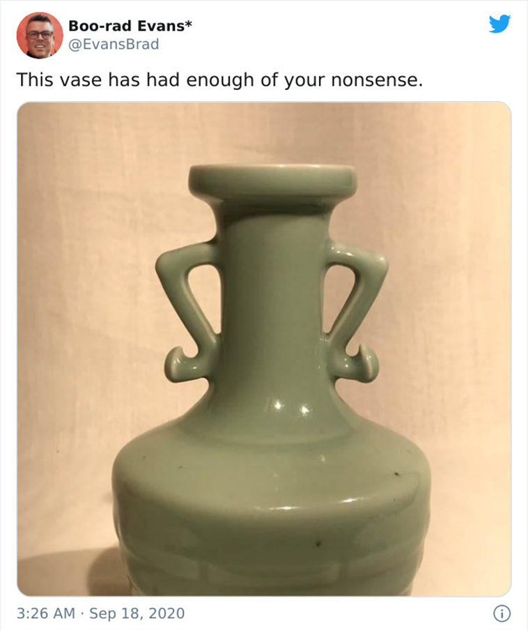 funny pareidolia