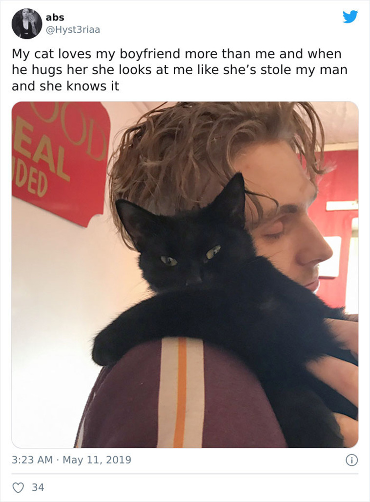 Shameless Pets