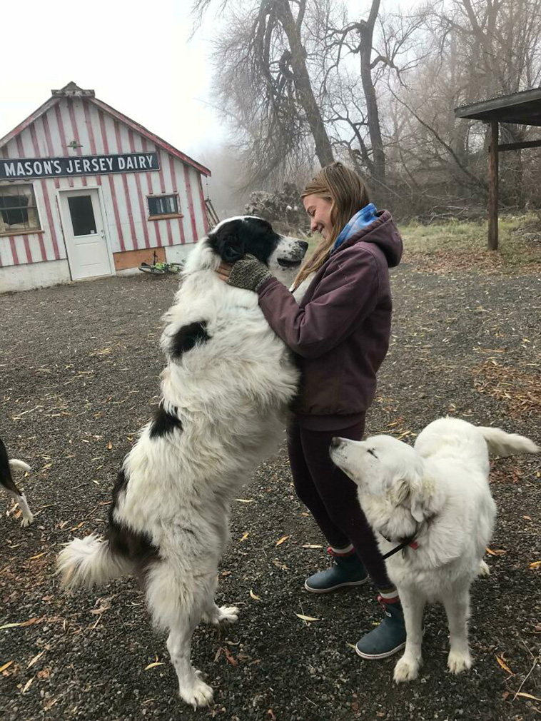 Shameless Pets