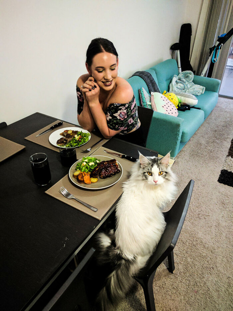 Shameless Pets