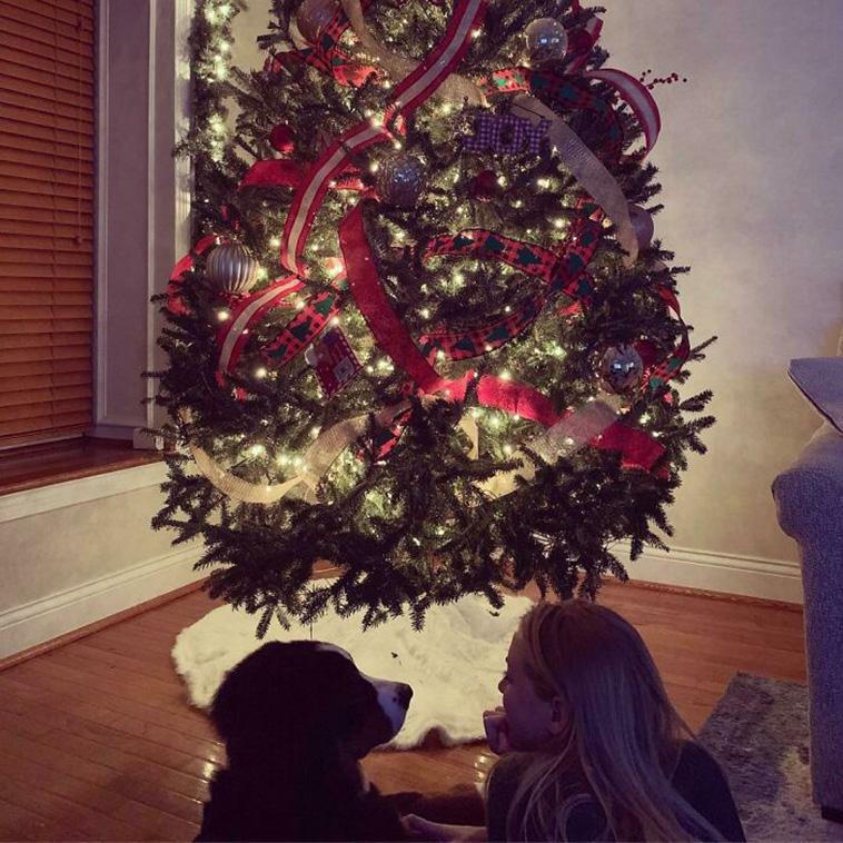 Shameless Pets