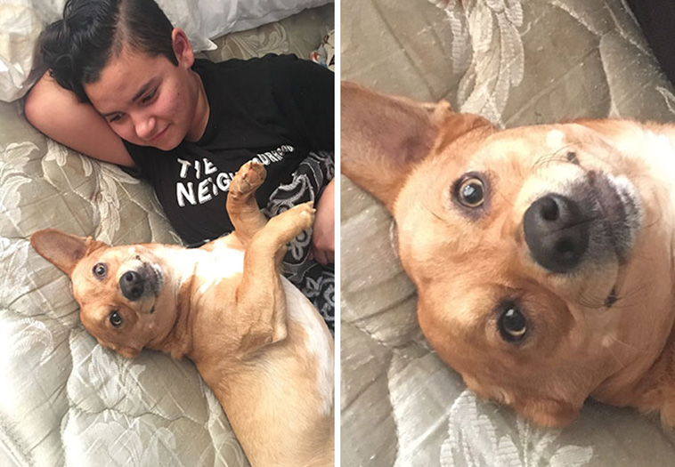 Shameless Pets