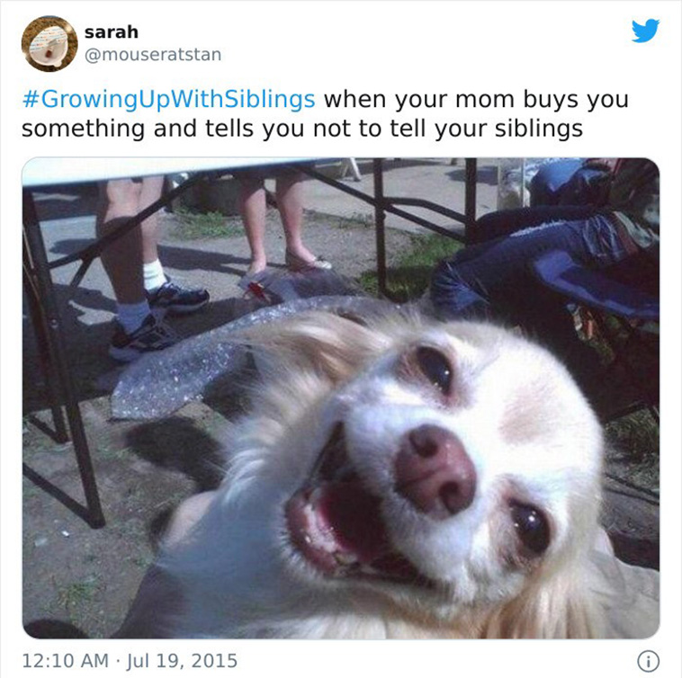 funny siblings tweets