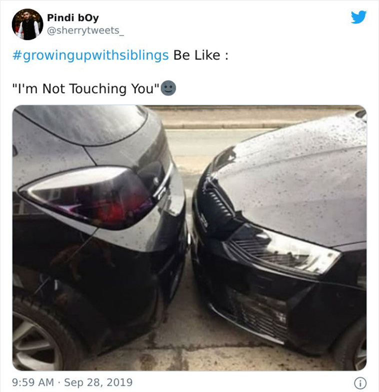 funny siblings tweets