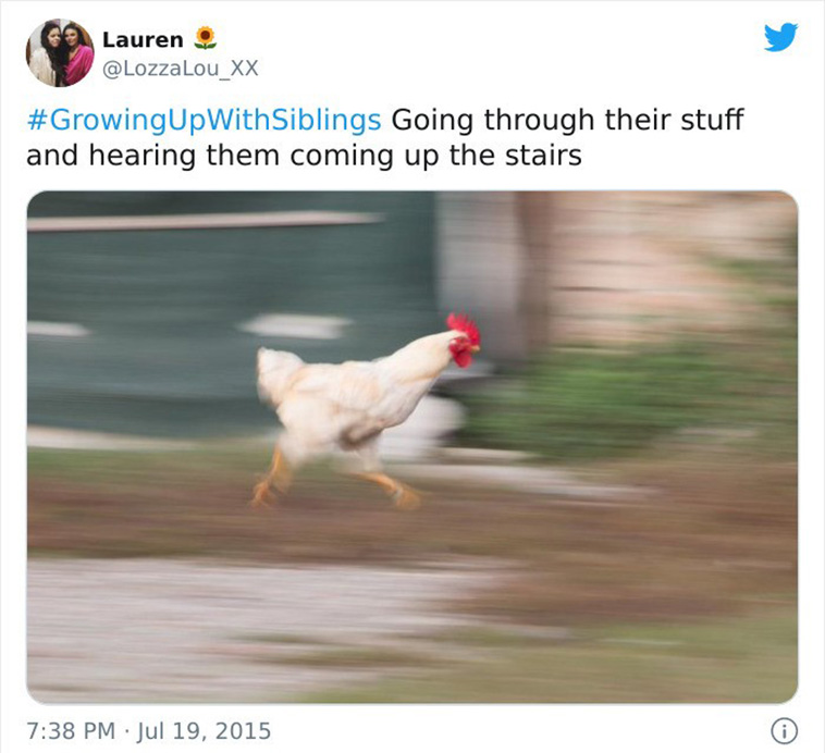funny siblings tweets