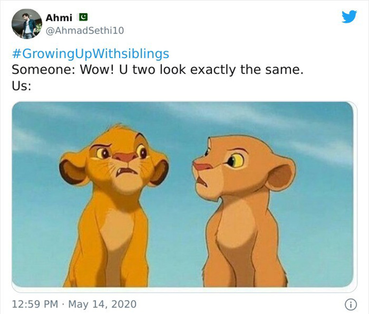 funny siblings tweets