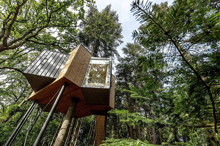 Lovtag Treetop Hotel With 9 Tree Cabins In Denmark