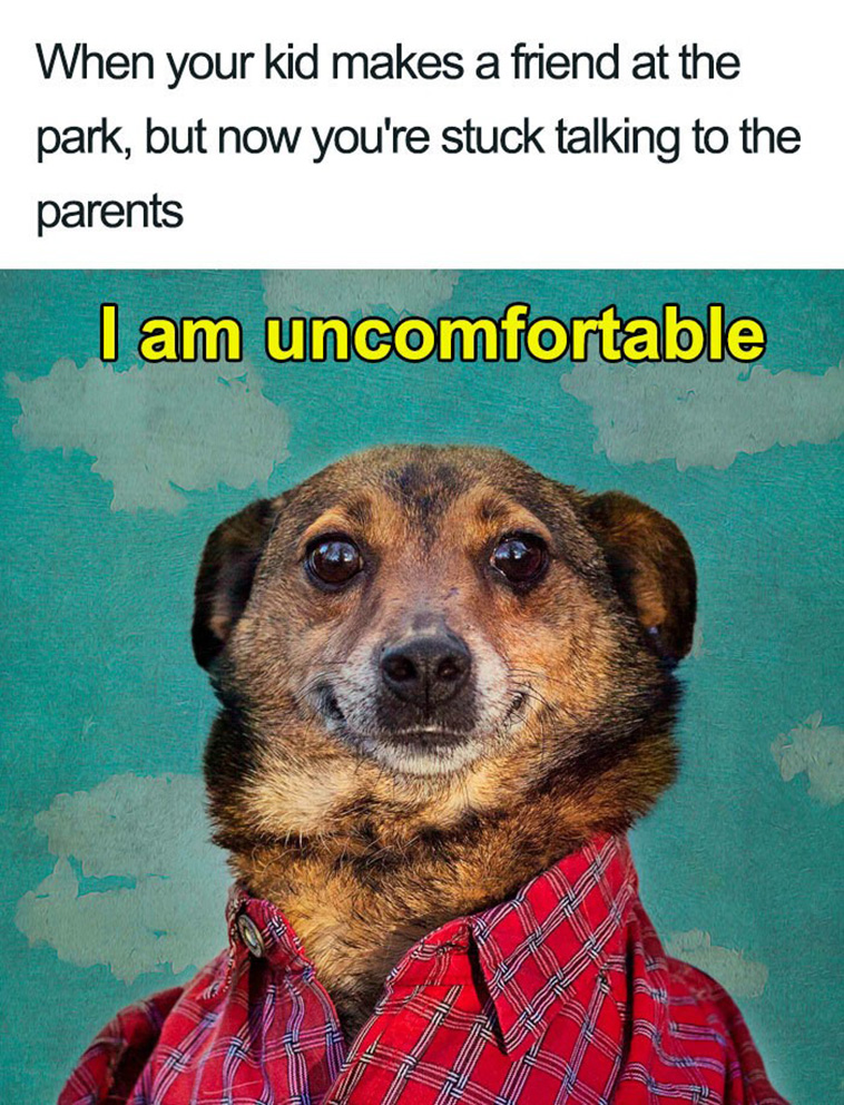 mom memes