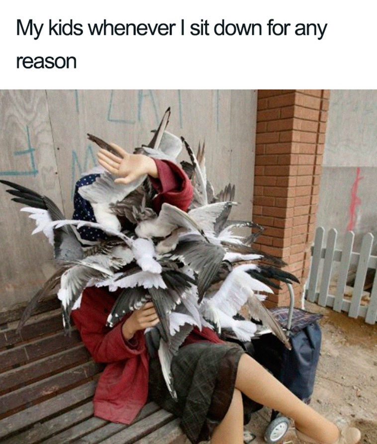 mom memes
