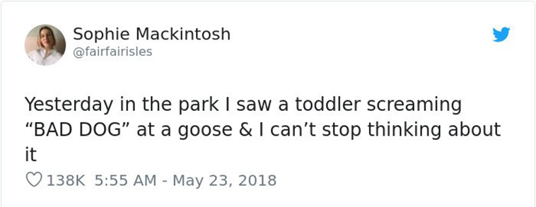 odd things kids say