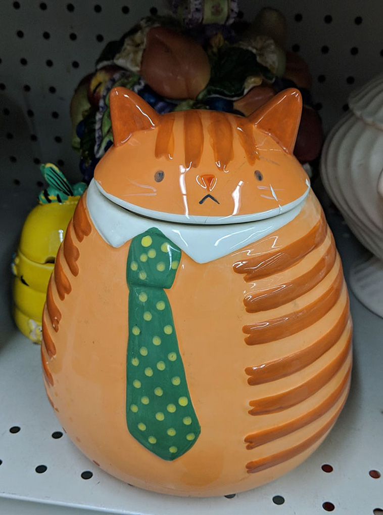 weird thrift store finds