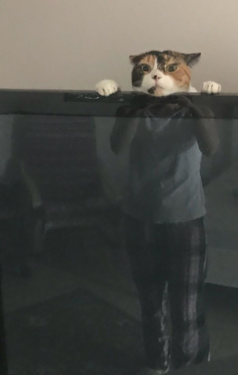 perfect timing