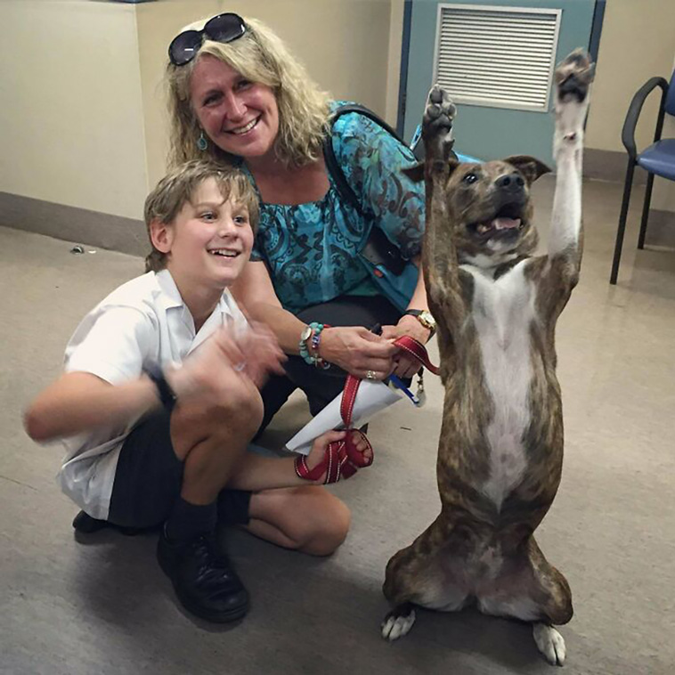rescued pets