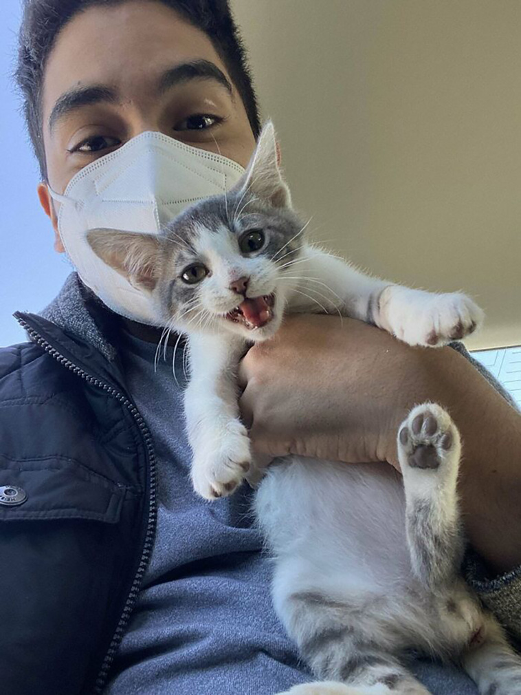 rescued pets