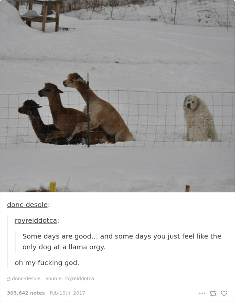 single people joke