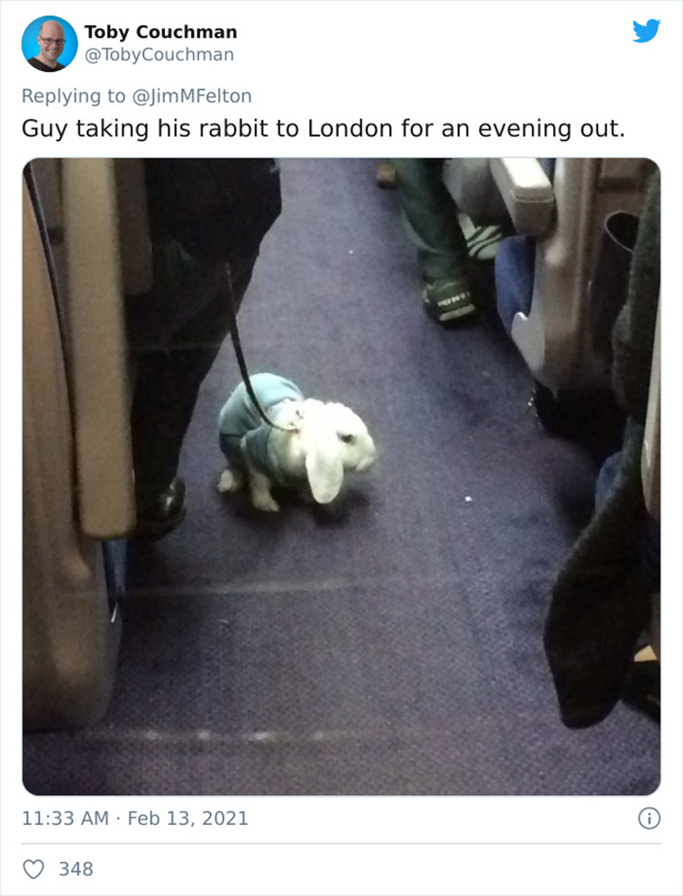 Bizarre Things on transport