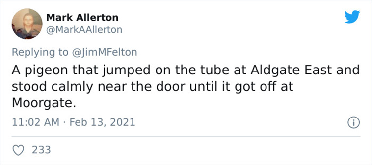 Bizarre Things on transport