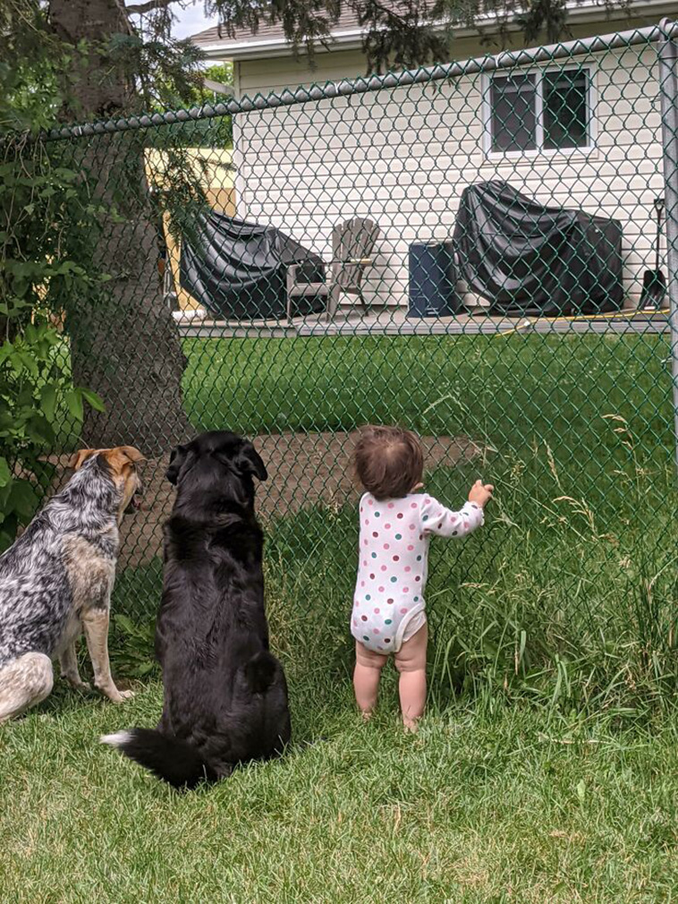 dogs with kids
