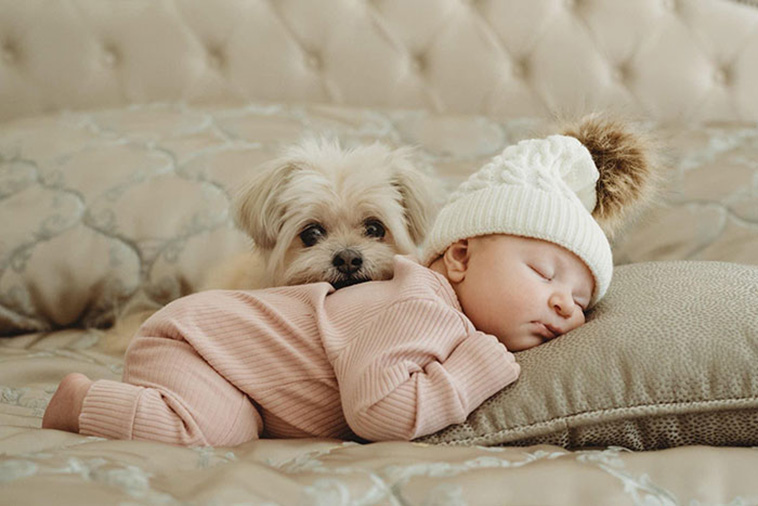 dogs with kids