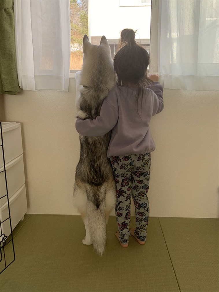 dogs with kids