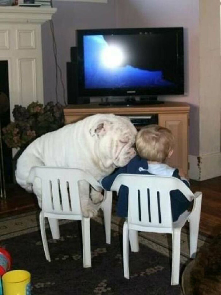 dogs with kids