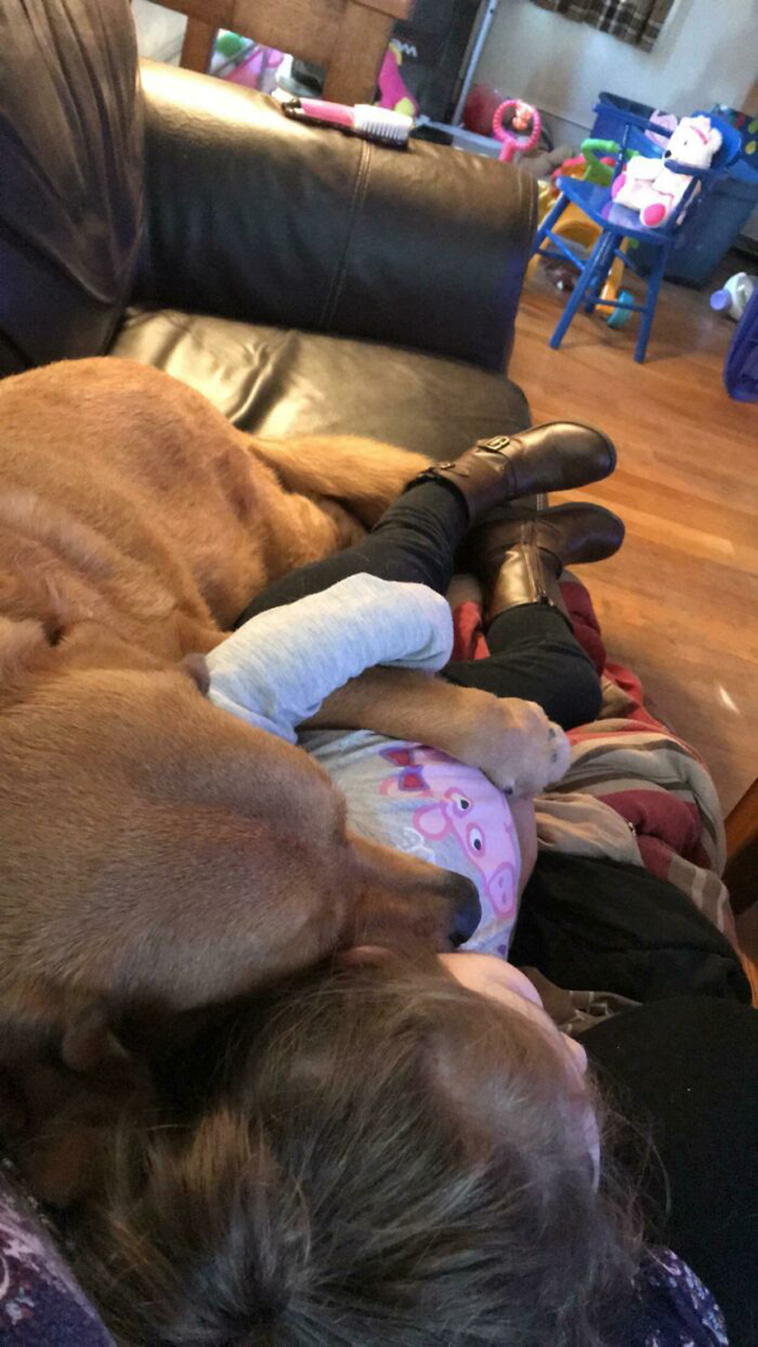 dogs with kids