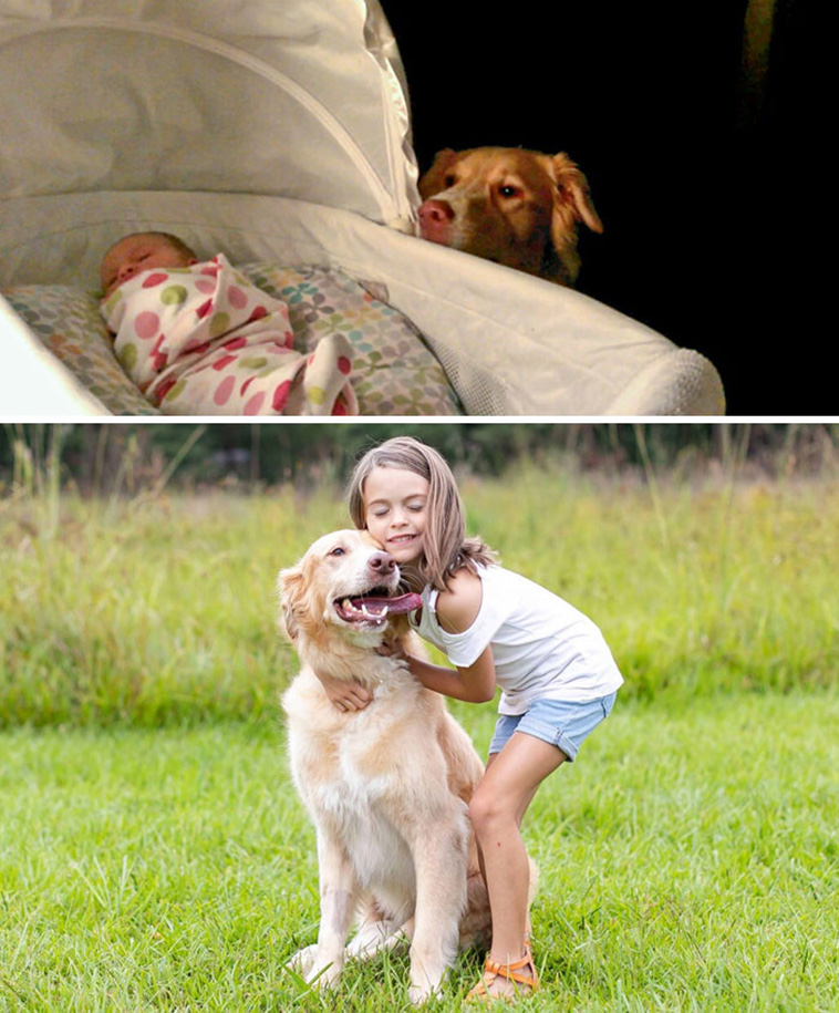 dogs with kids