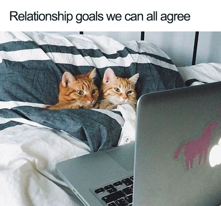 relationship memes