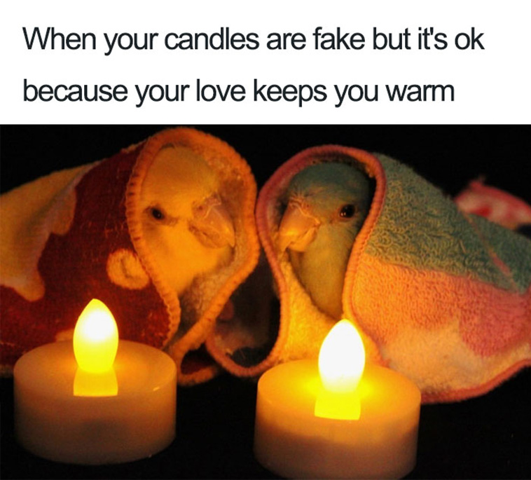relationship memes
