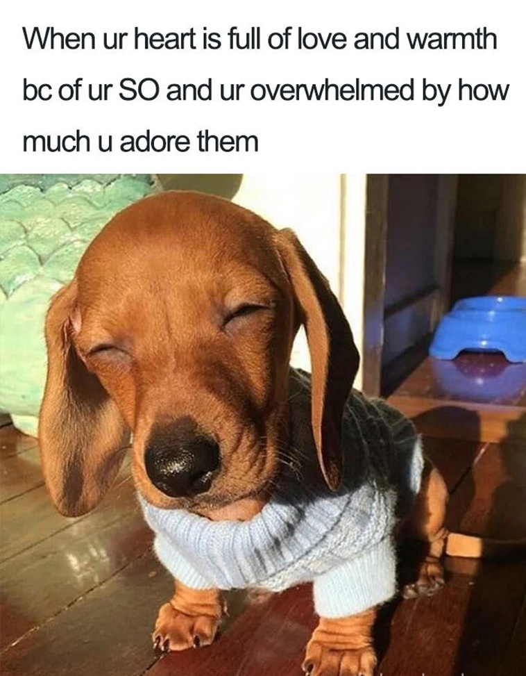 relationship memes
