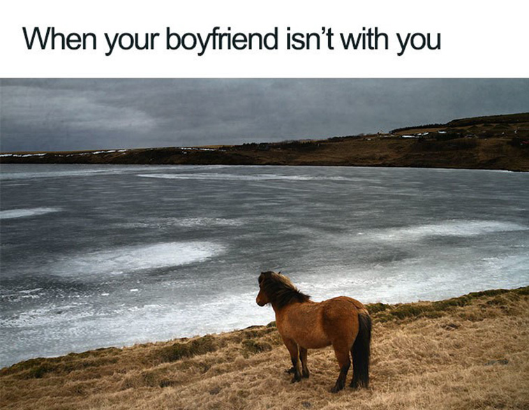 relationship memes