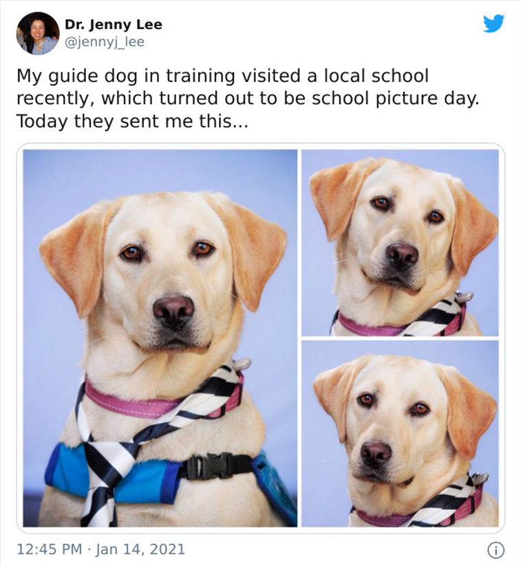 wholesome pics