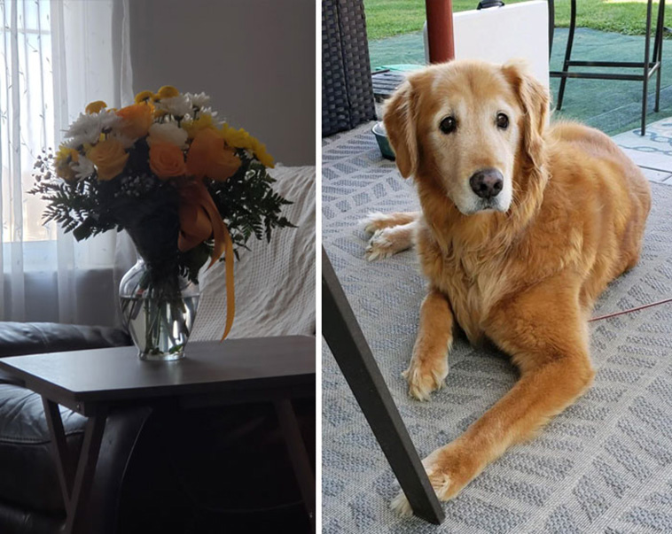 wholesome pics