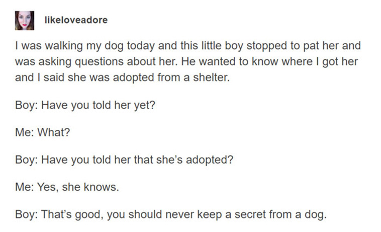 wholesome pics