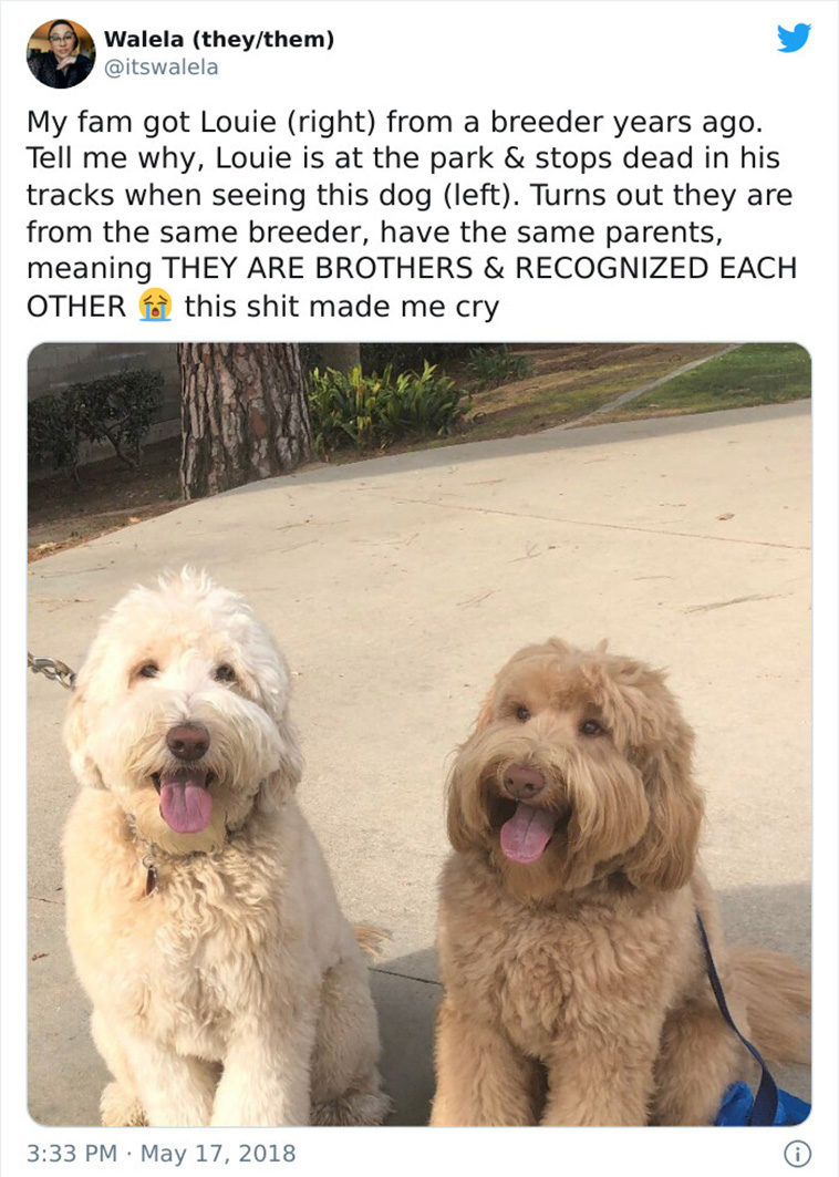 wholesome pics