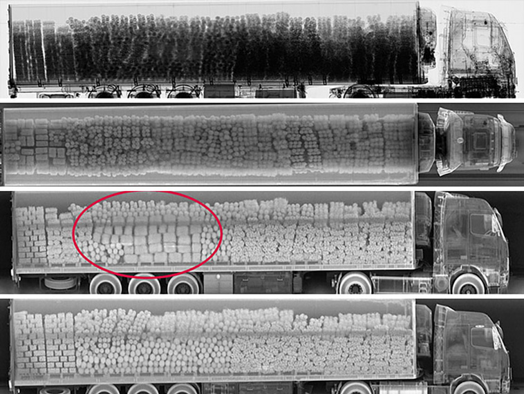 x-rayed things