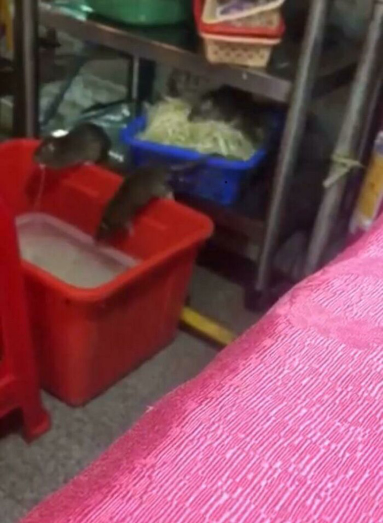 bad restaurants