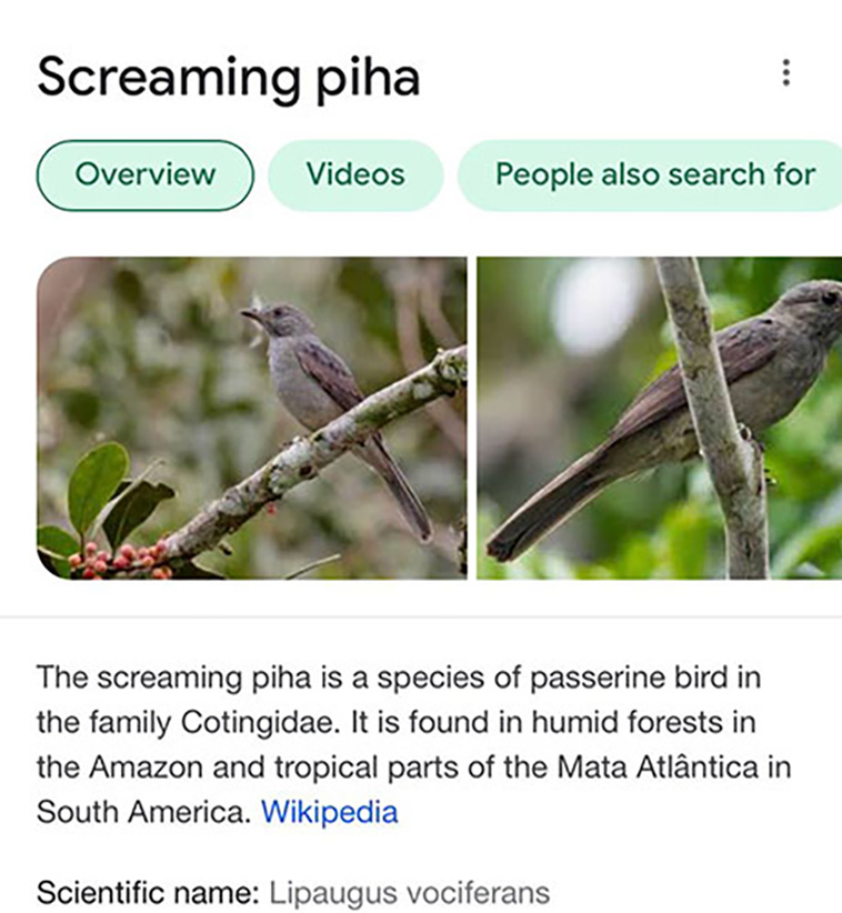 bird-haters