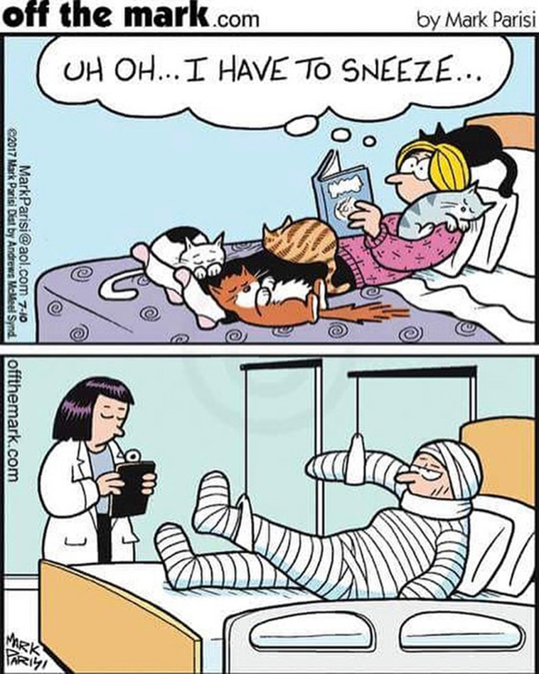 comics 