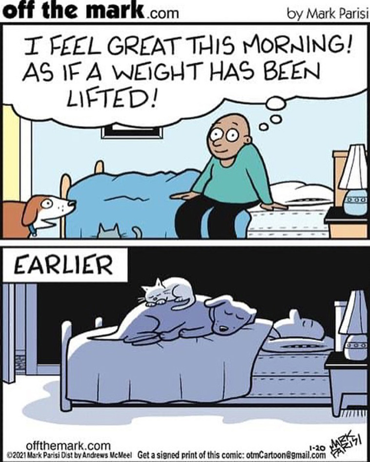 cartoon comics 