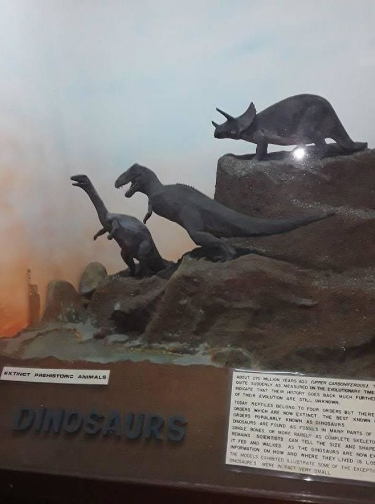 museum exhibits